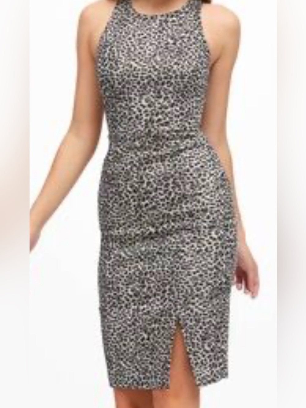 Banana Republic Black and White Leopard-Print Sheath Dress